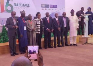 Thumbnail for the post titled: Keynote Address to the 16th Nigerian Association for Energy Economics/International Association for Energy Economics with the theme: Energy Evolution, Transition and Reform:  Prospects for African Economies
