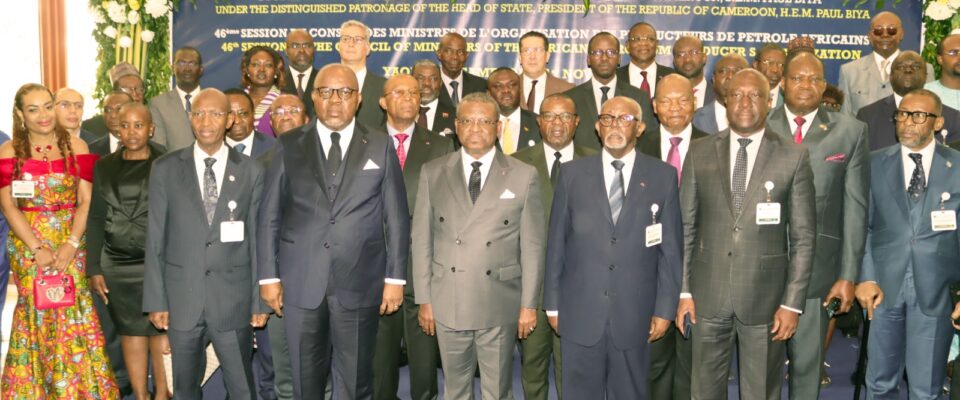 APPO African Petroleum Producers' Organization